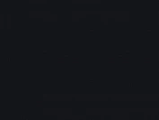 RAL 9005 (черный)